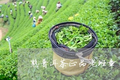 熟普洱茶正品老班章/2023101782637