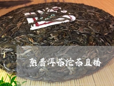 熟普洱茶沱茶直播/2023112682704