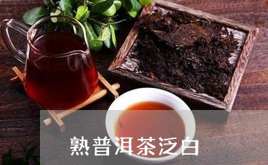 熟普洱茶泛白/2023042703330