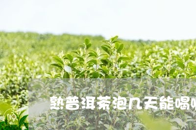 熟普洱茶泡几天能喝嘛为什么/2023083131304