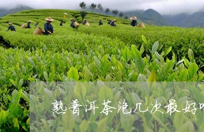 熟普洱茶泡几次最好喝呢/2023110143725