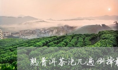 熟普洱茶泡几遍倒掉最好/2023110325058