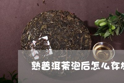 熟普洱茶泡后怎么存放/2023062897462