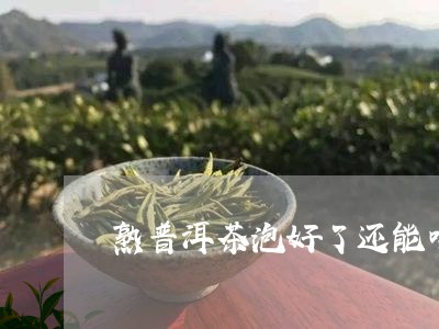 熟普洱茶泡好了还能喝吗/2023110112803