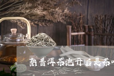 熟普洱茶泡开后是茶叶吗/2023110154852