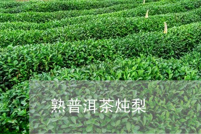 熟普洱茶炖梨/2023090625048