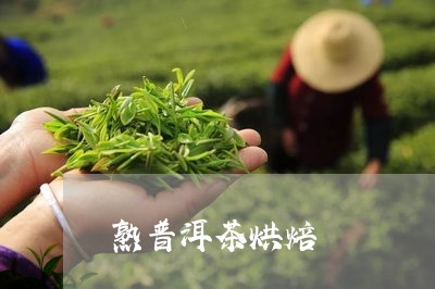 熟普洱茶烘焙/2023042893939