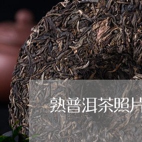 熟普洱茶照片/2023042946743