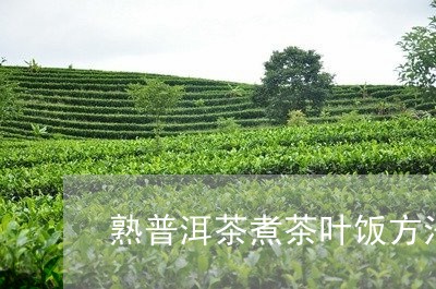 熟普洱茶煮茶叶饭方法和步骤/2023121807250