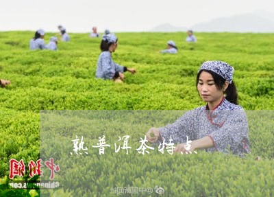 熟普洱茶特点/2023042933414