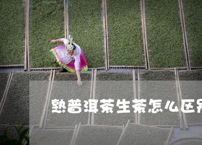 熟普洱茶生茶怎么区别/2023080364940