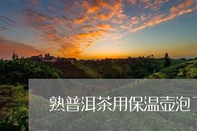 熟普洱茶用保温壶泡了一天/2023110486958