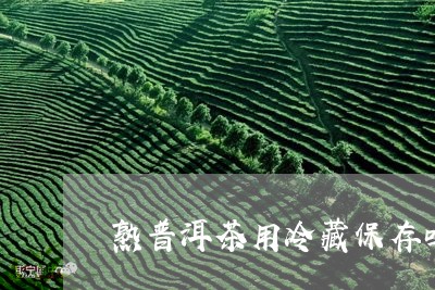 熟普洱茶用冷藏保存吗/2023101792805