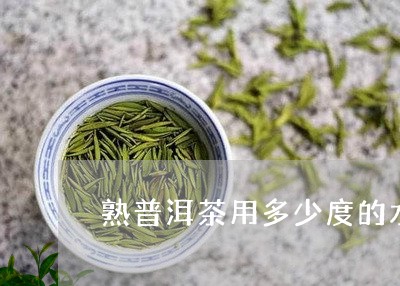 熟普洱茶用多少度的水/2023092613868