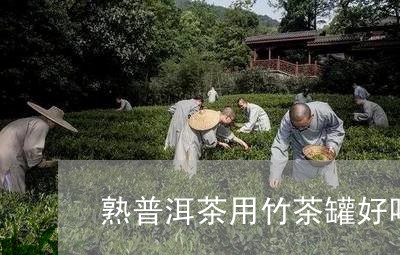 熟普洱茶用竹茶罐好吗/2023072404847