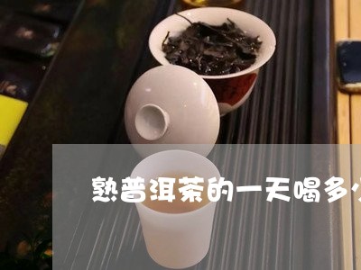 熟普洱茶的一天喝多少/2023092628261