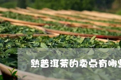 熟普洱茶的卖点有哪些/2023120715257