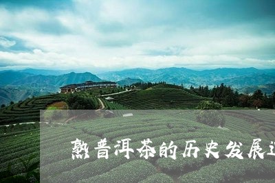 熟普洱茶的历史发展过程图片/2023112472834