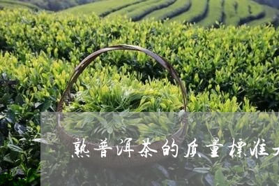 熟普洱茶的质量标准是多少克/2023121899471