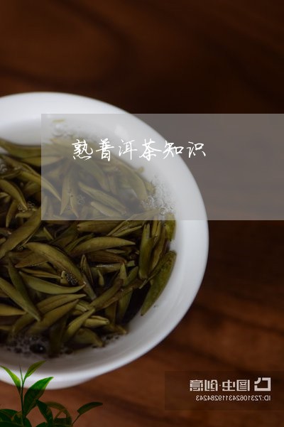 熟普洱茶知识/2023042898205