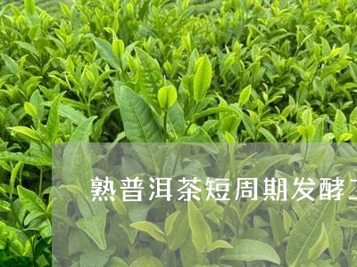 熟普洱茶短周期发酵工艺/2023121854825