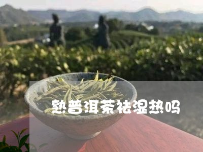 熟普洱茶祛湿热吗/2023102604259