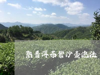 熟普洱茶紫沙壶泡法/2023101759404