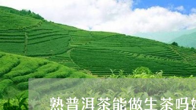 熟普洱茶能做生茶吗好喝吗/2023121805937