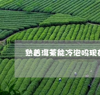 熟普洱茶能冷泡吗现在可以喝吗/2023110450794