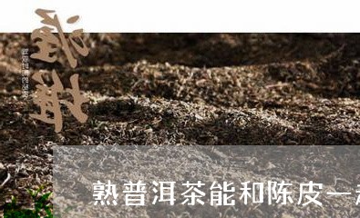 熟普洱茶能和陈皮一起喝吗/2023051192737