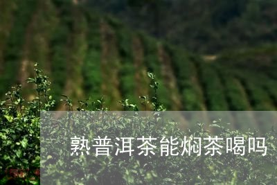 熟普洱茶能焖茶喝吗/2023082662936