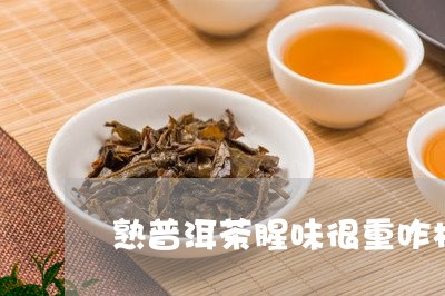 熟普洱茶腥味很重咋样/2023100660504