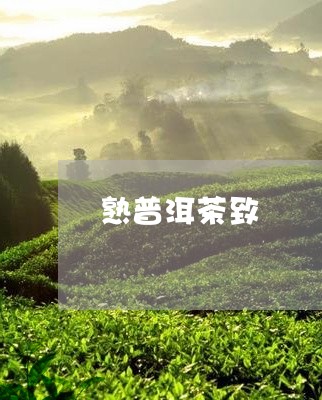 熟普洱茶致/2023090634057