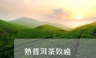 熟普洱茶致癌/2023042890576