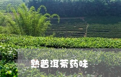 熟普洱茶药味/2023042799699