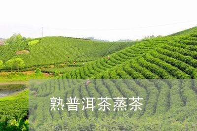 熟普洱茶蒸茶/2023042800872