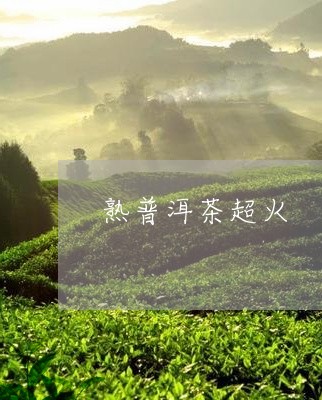 熟普洱茶超火/2023042558112