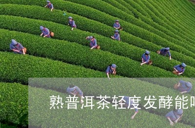 熟普洱茶轻度发酵能喝吗/2023110152815