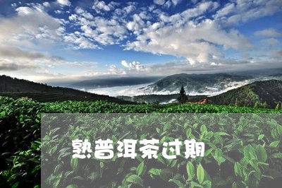 熟普洱茶过期/2023042687518