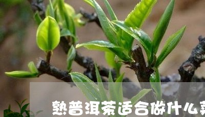 熟普洱茶适合做什么菜/2023092763147