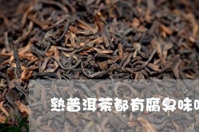 熟普洱茶都有腐臭味吗还能喝吗/2023053060490