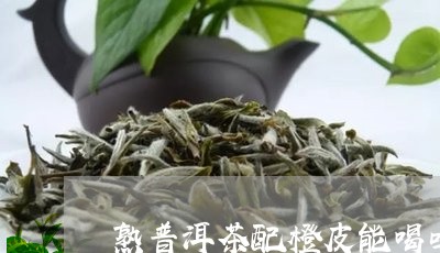 熟普洱茶配橙皮能喝吗功效/2023121806848