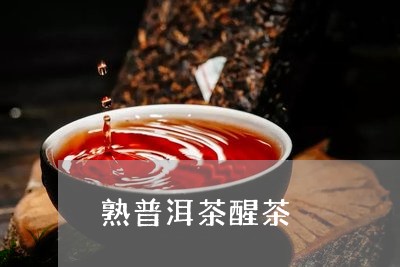 熟普洱茶醒茶/2023042816345