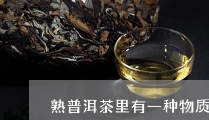 熟普洱茶里有一种物质是什么茶/2023121818612