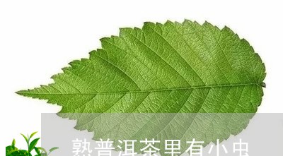 熟普洱茶里有小虫/2023101613848