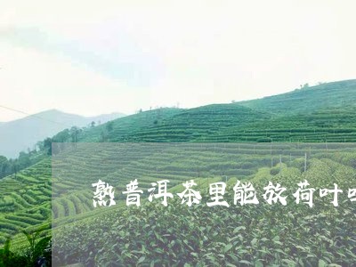 熟普洱茶里能放荷叶吗/2023072310715