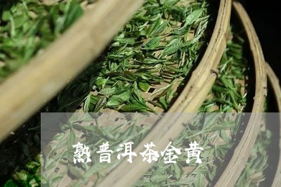 熟普洱茶金黄/2023042876018