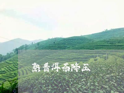 熟普洱茶降压/2023042683223