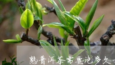 熟普洱茶需要泡多久才可以喝/2023110759683