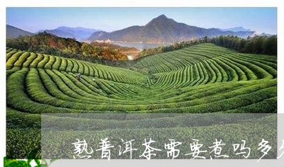 熟普洱茶需要煮吗多久/2023070163795